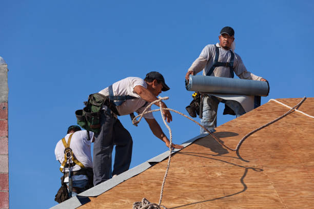 Best Roof Leak Repair  in Sibley, IA